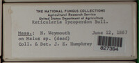 Image Associated With the Occurence